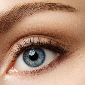 Bild Wimpern und Augenbrauen